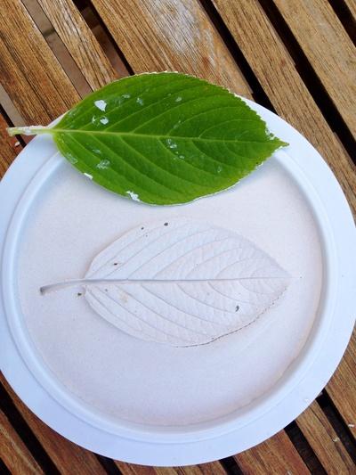 Leaf Casts Craft